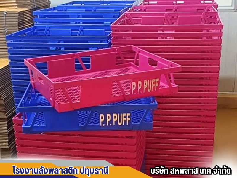 โรงงานลังพลาสติก ปทุมธานี
